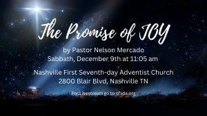 The Promise of JOY